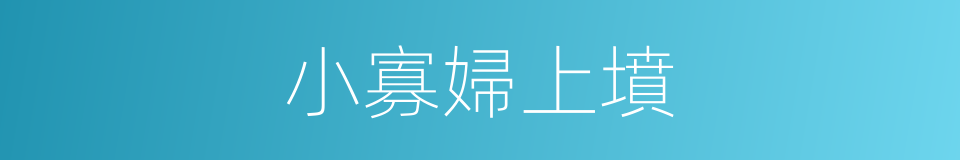 小寡婦上墳的同義詞
