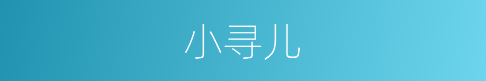 小寻儿的同义词