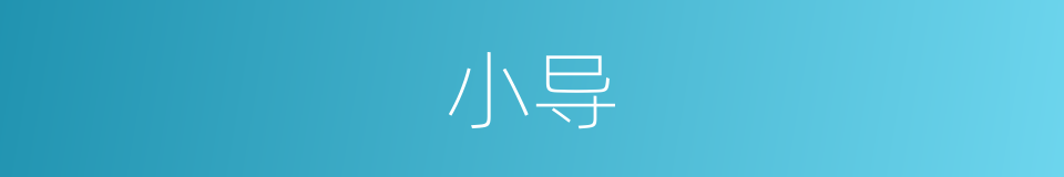 小导的同义词