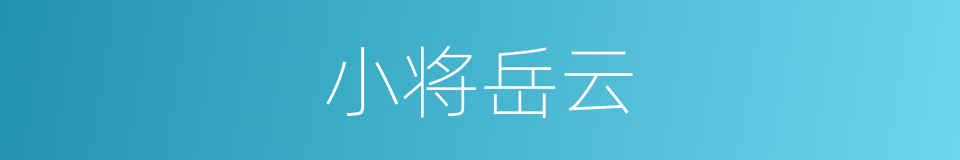 小将岳云的同义词