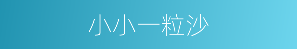 小小一粒沙的同义词