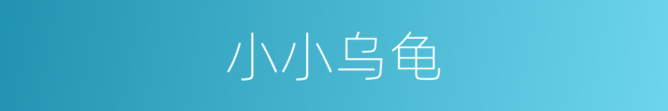 小小乌龟的同义词