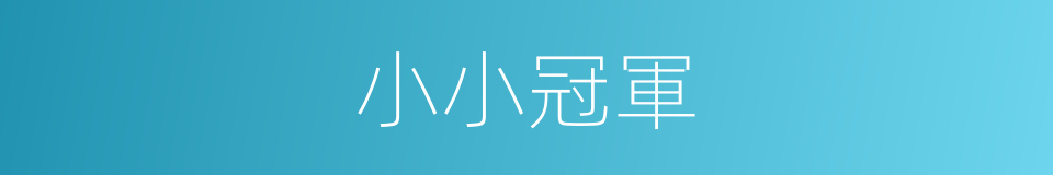 小小冠軍的同義詞