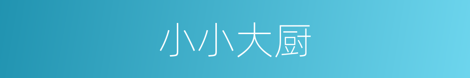 小小大厨的同义词