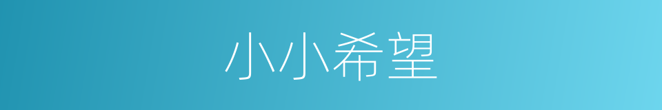 小小希望的同义词