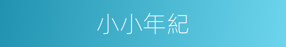 小小年紀的意思