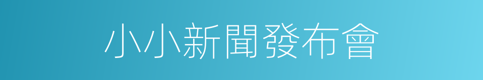 小小新聞發布會的同義詞