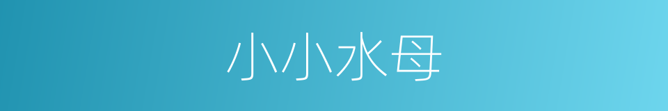 小小水母的同义词