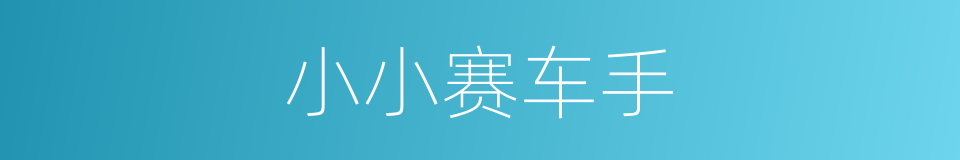 小小赛车手的同义词