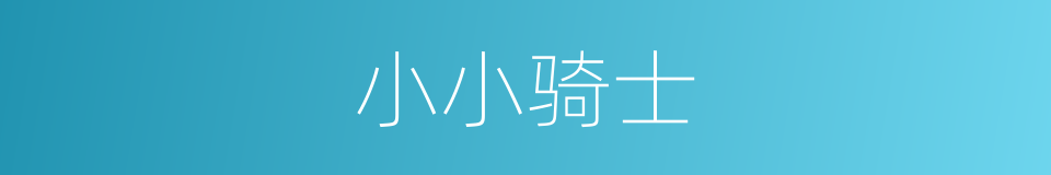 小小骑士的同义词