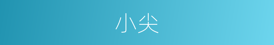 小尖的意思