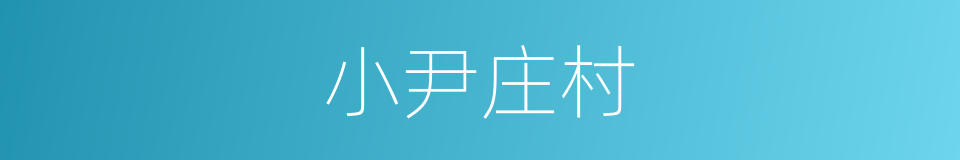 小尹庄村的同义词