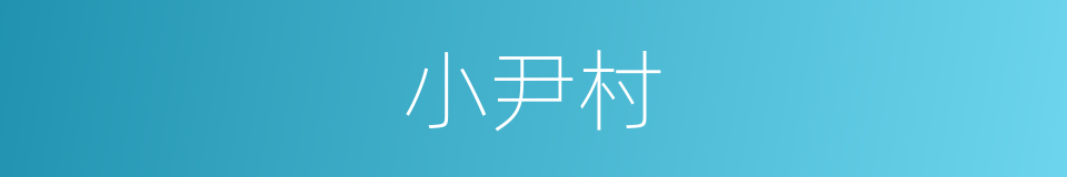 小尹村的同义词