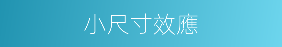 小尺寸效應的同義詞