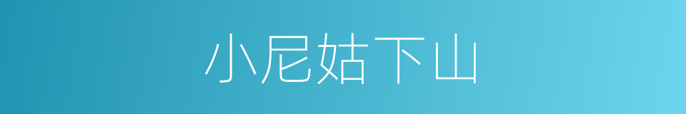 小尼姑下山的同义词
