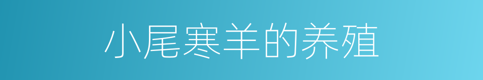 小尾寒羊的养殖的同义词