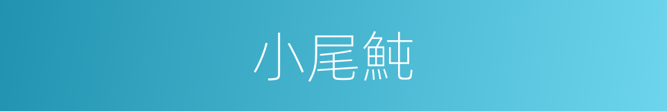 小尾魨的同義詞