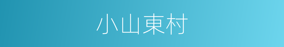 小山東村的同義詞