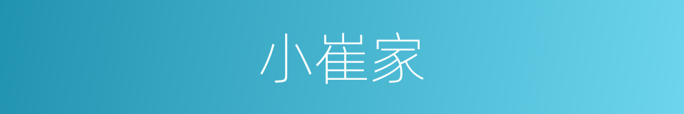 小崔家的同义词