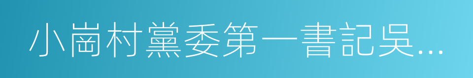 小崗村黨委第一書記吳小林的同義詞