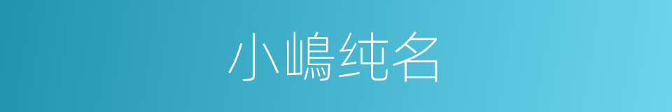 小嶋纯名的同义词