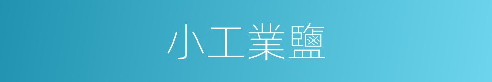 小工業鹽的同義詞
