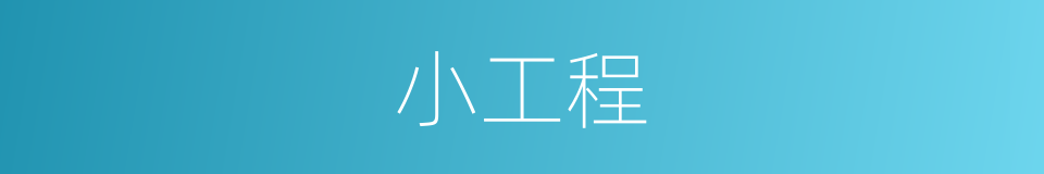 小工程的同义词