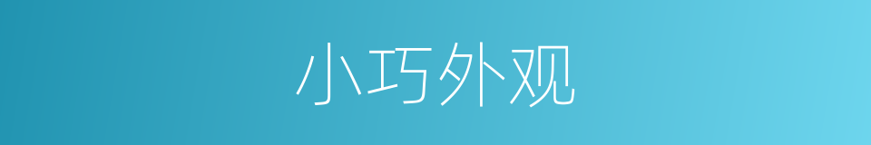 小巧外观的同义词