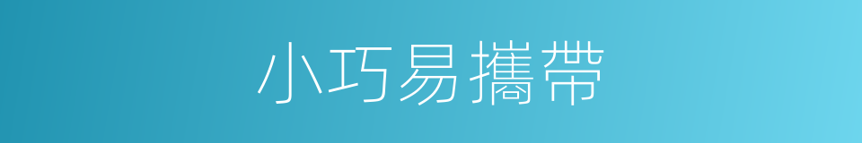 小巧易攜帶的同義詞