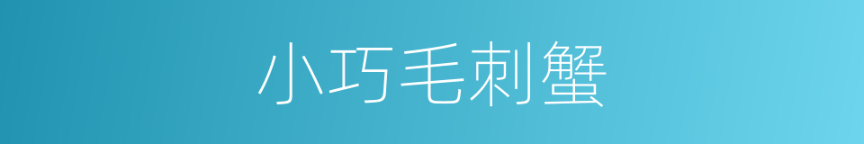 小巧毛刺蟹的同义词
