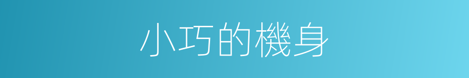 小巧的機身的同義詞