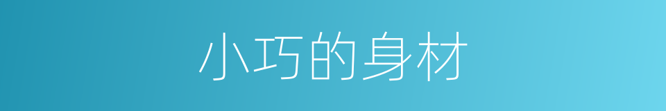 小巧的身材的同义词