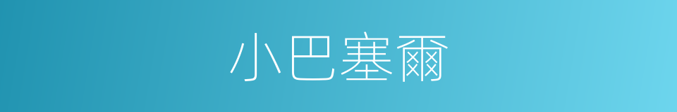小巴塞爾的同義詞