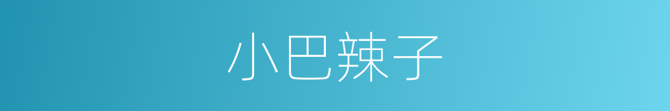 小巴辣子的同义词