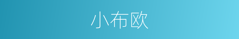 小布欧的同义词