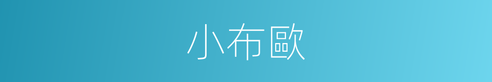 小布歐的同義詞