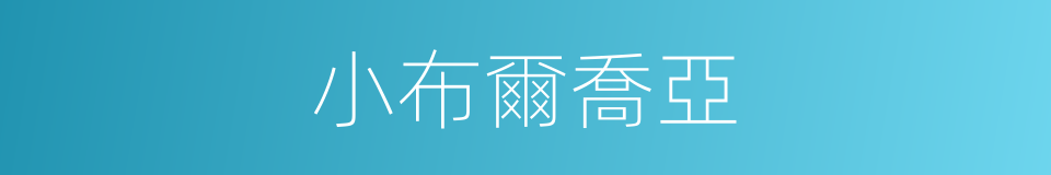 小布爾喬亞的意思
