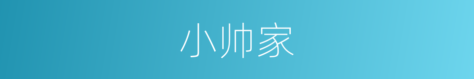 小帅家的同义词