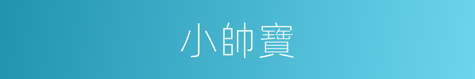 小帥寶的同義詞