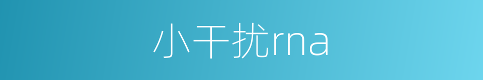 小干扰rna的同义词