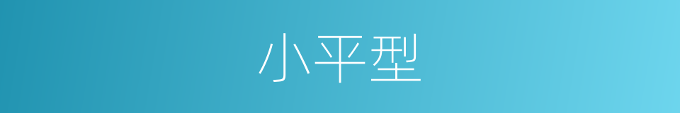 小平型的同义词