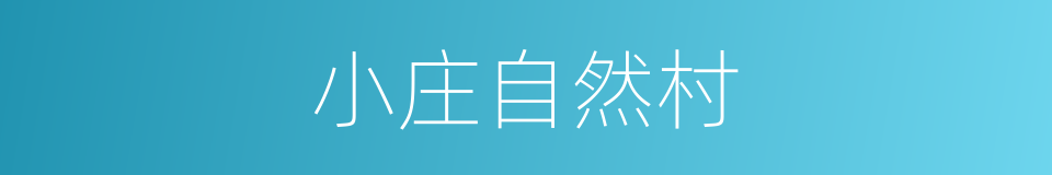 小庄自然村的同义词