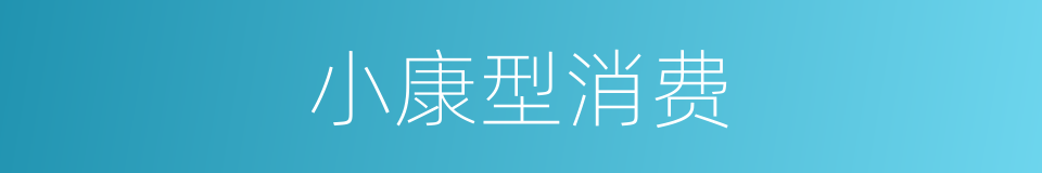 小康型消费的意思