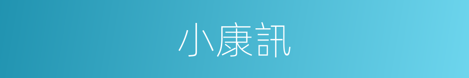 小康訊的同義詞