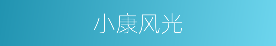 小康风光的同义词