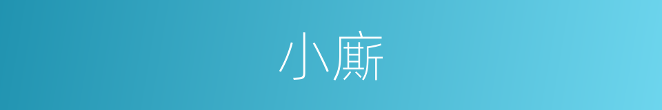 小廝的意思