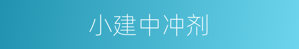 小建中冲剂的同义词