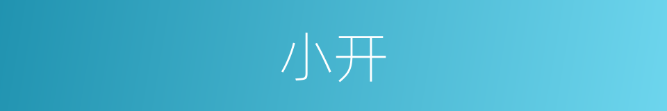 小开的意思