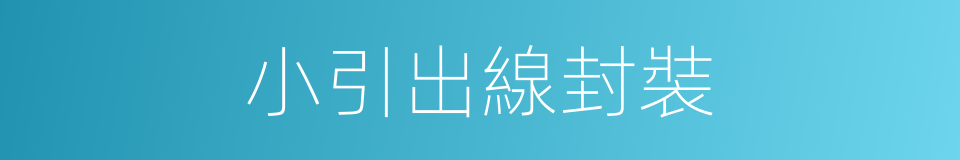 小引出線封裝的同義詞