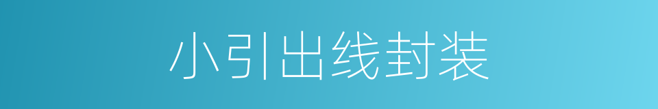 小引出线封装的同义词